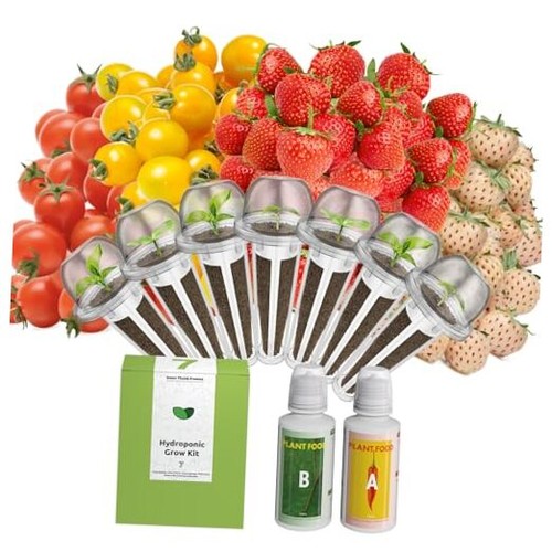 Seed pod kit for aerogarden - seed,