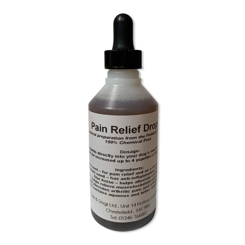 Dog pain relief natural - dog,