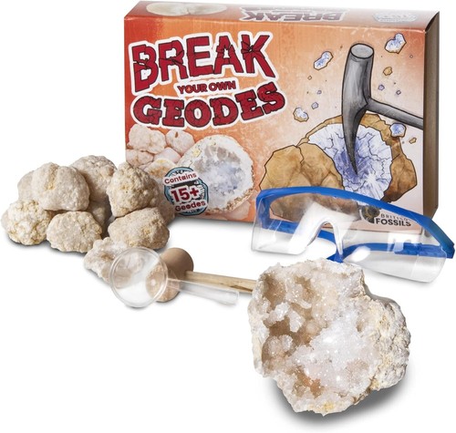 British fossils break your - british,