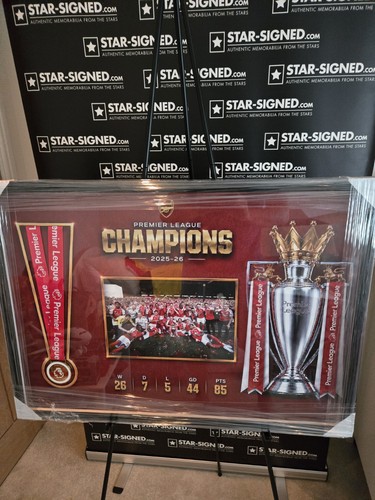 Arsenal premier league - arsenal,