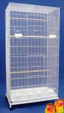 Large flight multiple - 55",