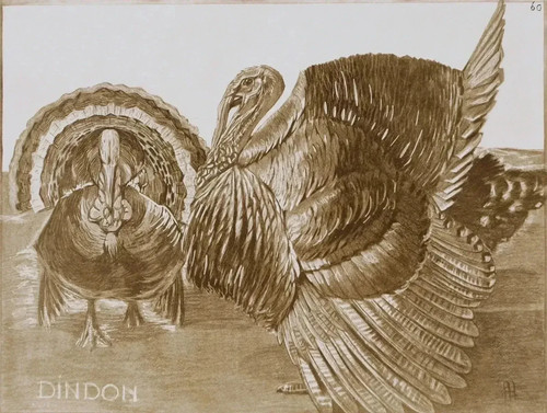 Mathurin meheut the turkey - mathurin,