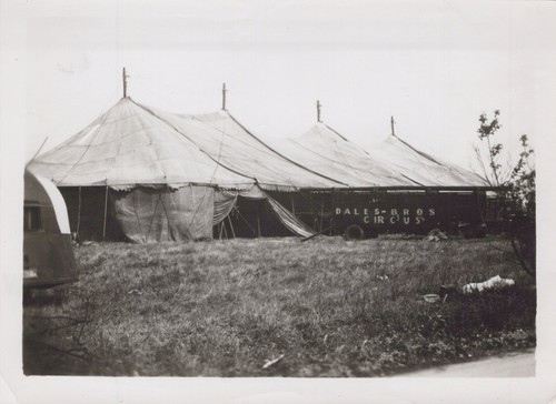 Dale bros circus shelby nc - dale’s,