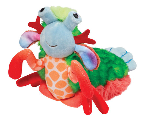 Punchie peacock mantis - 10",