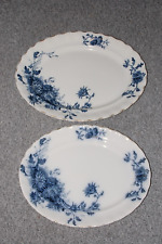 Antique Late Mayers Daisy