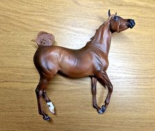 Traditional arabian horse - traditional,