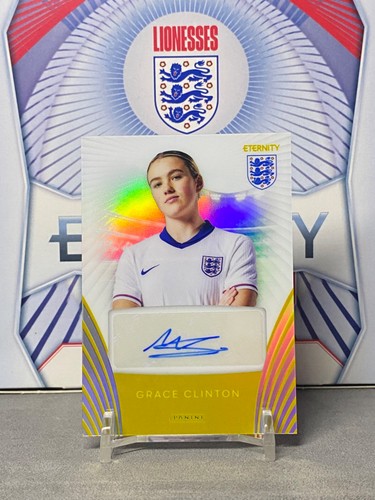 Panini lionesses - panini,
