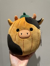 8” 2024 Mallow Mash Pumpkin Connor The Cow Squishmallow - Brand New With Tags