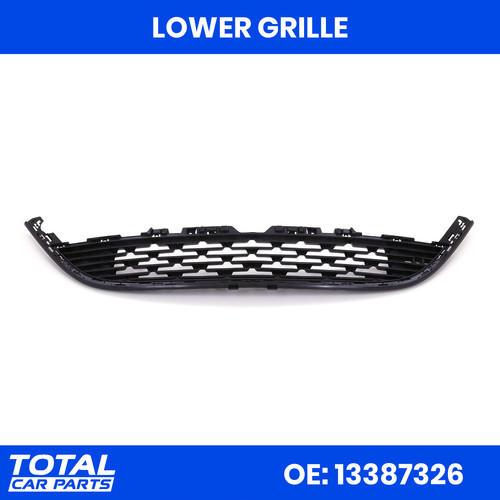 Lower radiator grille - radiator, front