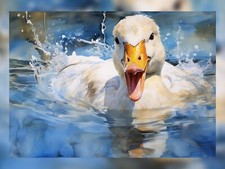 Graceful Elegance: White Duck