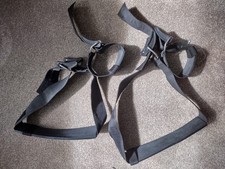 Two AP Diving pony cylinder cambands