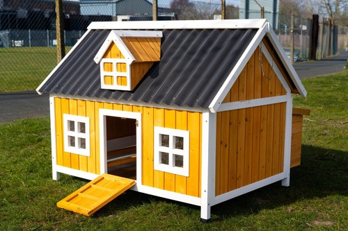 Large chicken coop - large,
