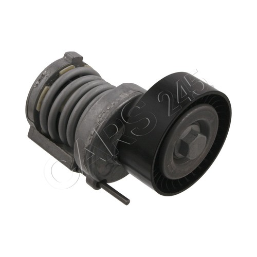 Swag tensioner pulley ribbed - tensioner, v-ribbed