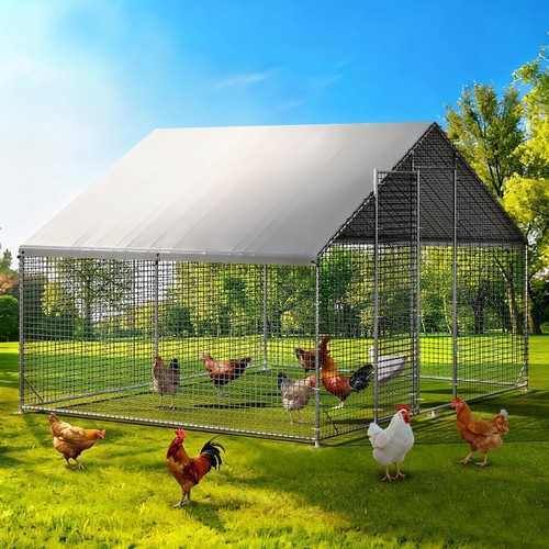 Large walk coop galvanized - coop,