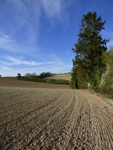 Photo 6x4 farmland baydon - photo,