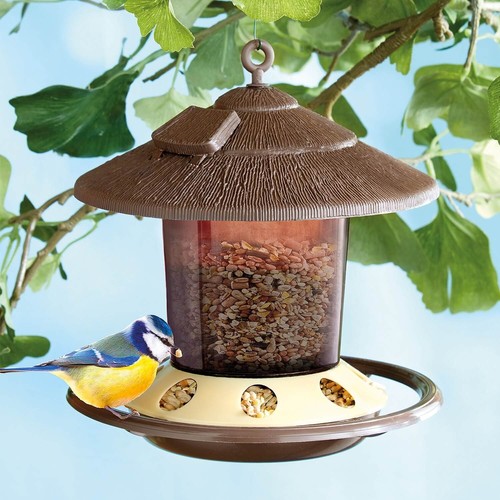 Seed bird feeder with - with, 8