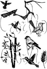 Card-io SENTIMENTS Combination