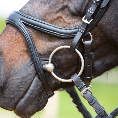 Kieffer bridle ultrasoft tara - bridle,
