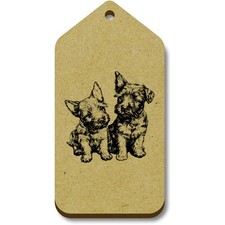 'Cute Scottish Terrier