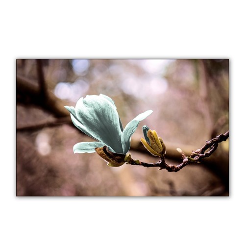 Floral wall art - floral, duck