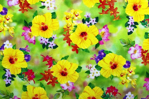 Hibiscus fabric yellow - hibiscus, floral