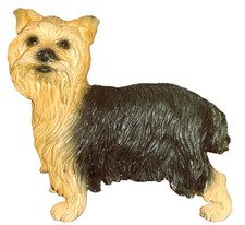 Yorkshire Terrier Yorkie