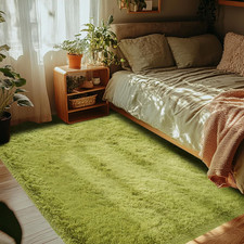 Green Area Rug for Bedroom