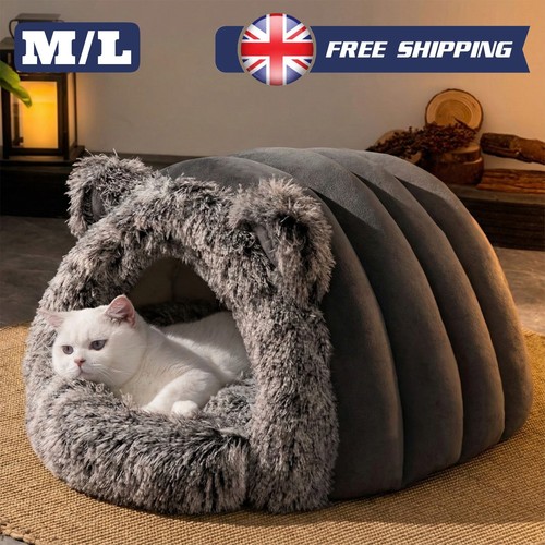 Luxury calming cat - cat, bed