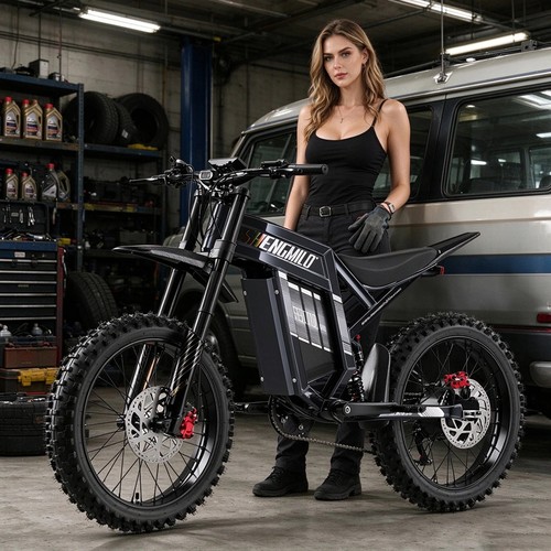 Electric bike for adults - 19",