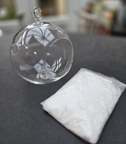 Fine glass air plant - glass, terrarium