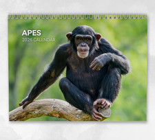 Ape Calendar 2026: Monthly