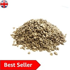 15kg Nutritious Sunflower