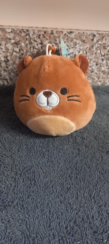 Squishmallow bnwt chip the - bnwt,
