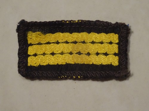 Girl guides brownie - girl,