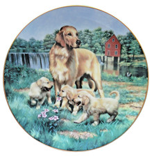 Hamilton Collection Plate GOLDEN RETRIEVERS Classic Sporting Dogs & Certificate
