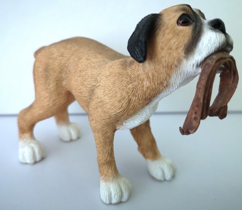Gorgeous vintage playful boxer - vintage,