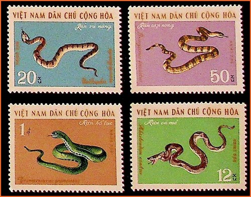 Vietnam venomous snakes - vietnam, /