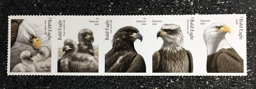 2026usa 6082 6086b - #6082-6086b, forever