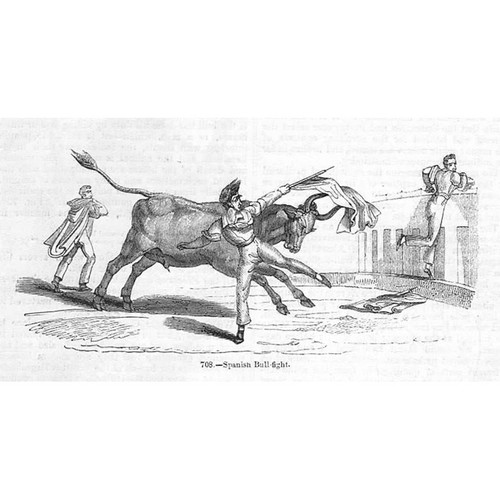 Spanish bull fight - fight,