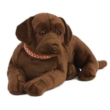 Giant Chocolate Labrador Dog