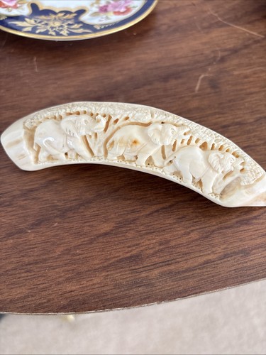 Hippo tooth horne - ,