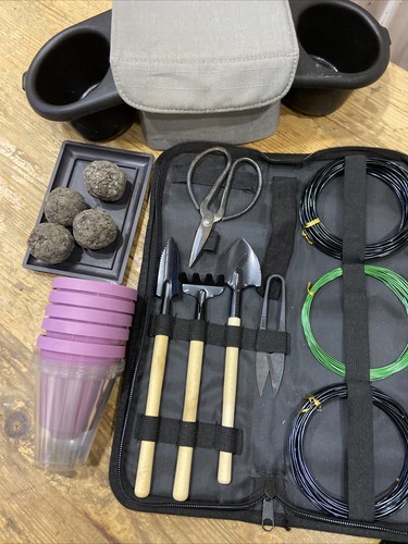 Bonsai tree trimming set - tree,