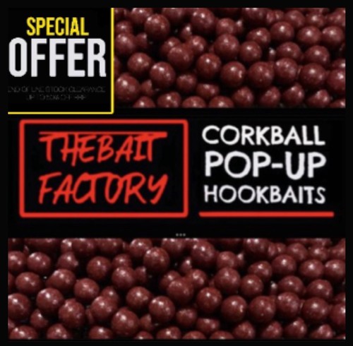 Indian spice corkball popups - spice,