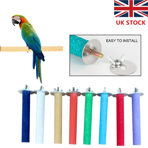 New bird parrot stand chew - chew, toy