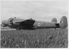 AVRO SHACKLETON - original