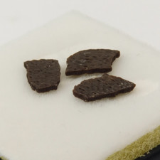 Hadrosaur Egg Shell Fossils