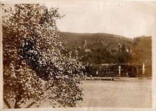Original Press Photo Heidelberg Castle Schloss & tree blossom 12.6.1929