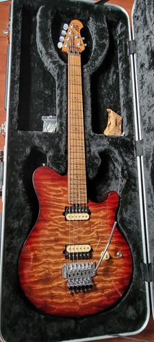 Ernie ball music man - ernie,