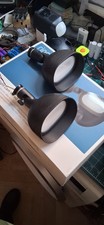 Ring Flood Lights From A Ring