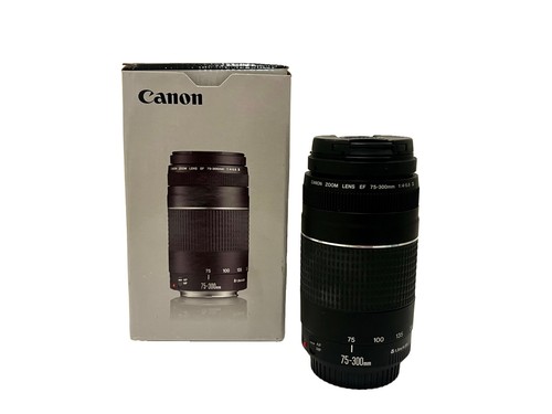 Canon 300mm 6 - f/4-5.6, iii
